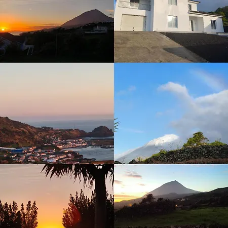 فيلة Belle Azores Al